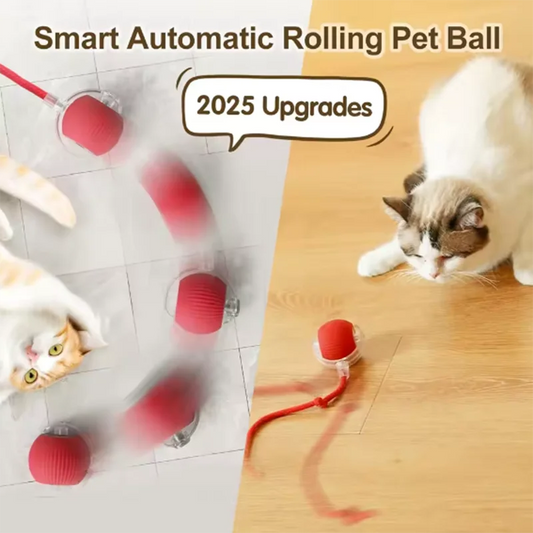 Intelligent interactive cat ball long-lasting and durable easy to