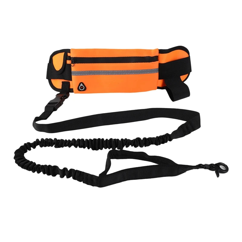 Hand Free Dog Running Leash With Zipper Pouch Running Leash