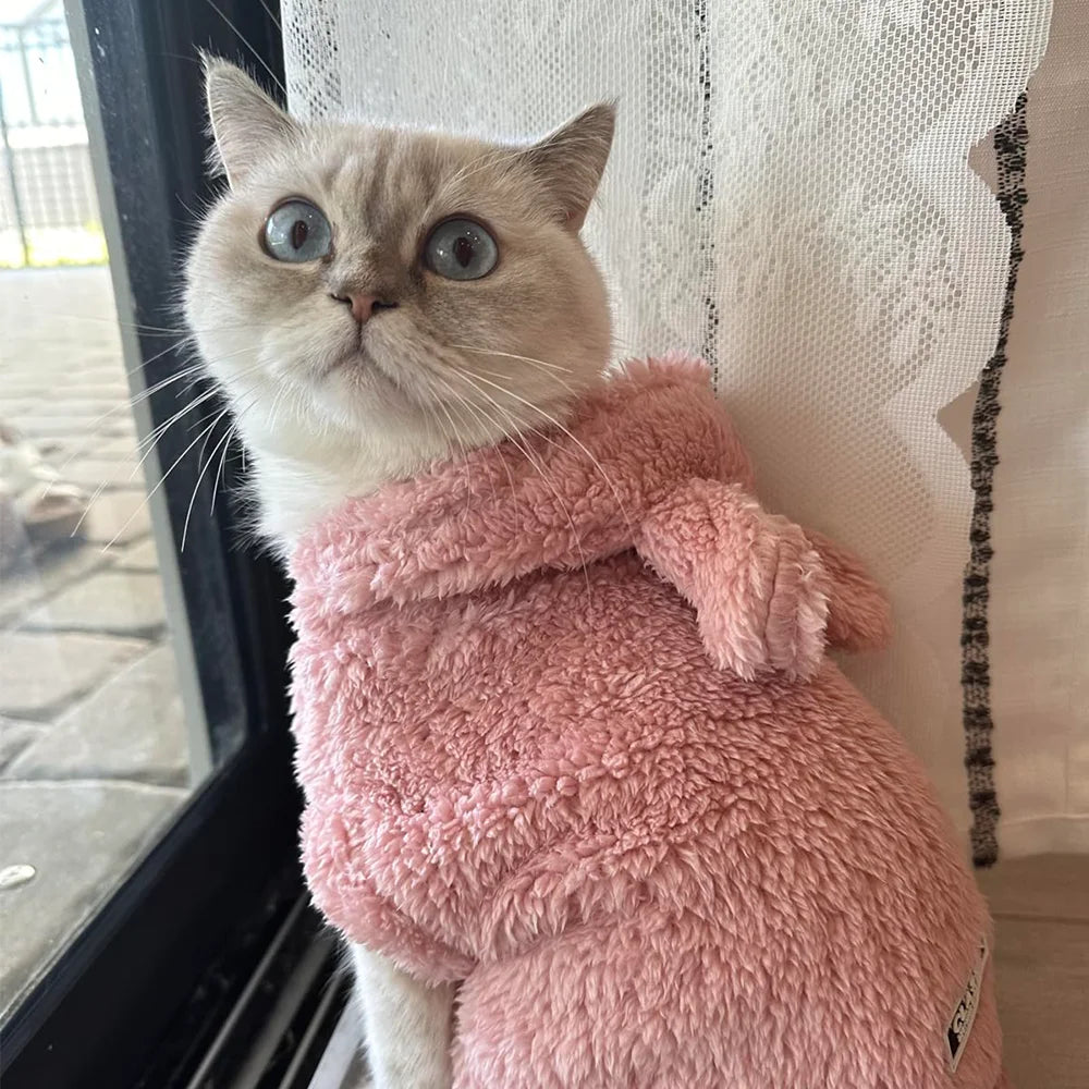 Fleece Warm Cat Costume For Winter Autumn Cute Soft Cats Clothes For