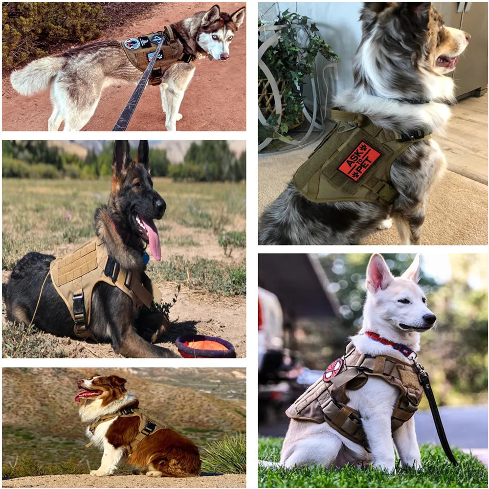 Military Large Dog Harness Pet German Shepherd K9 Malinois Training