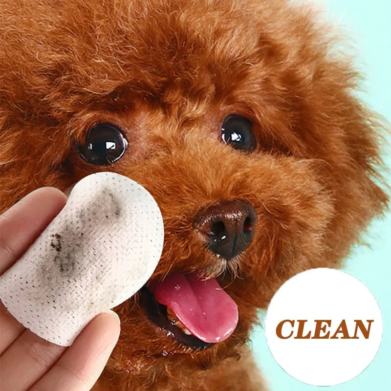 Pet Eye Wipes Cats And Dogs Tearmark Wet Wipes Cats And Dogs Universal