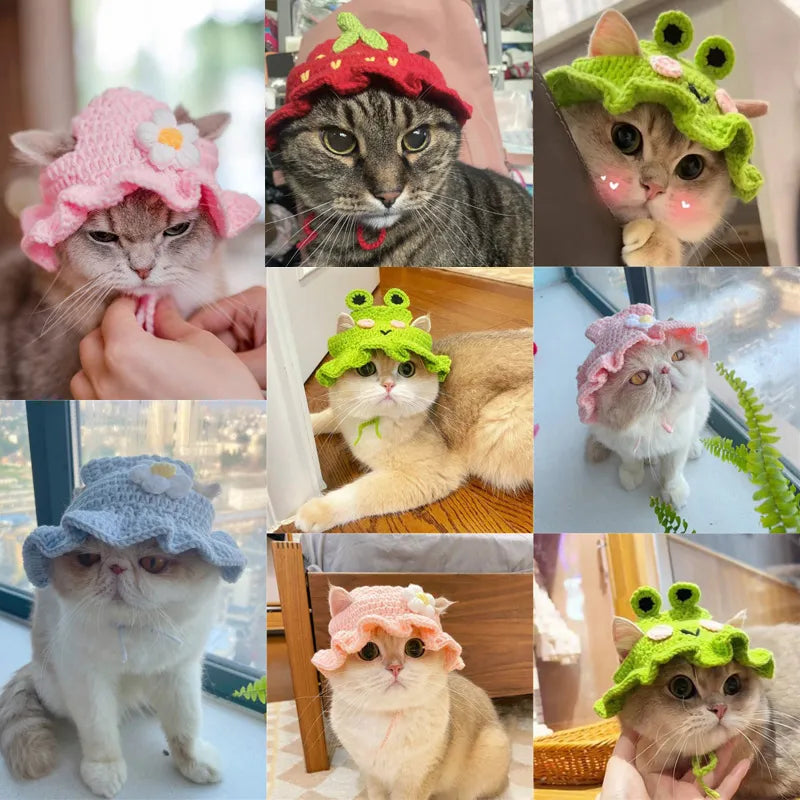 Autumn Winter Cat Hat Elastic Cute Refined Pet Hat Puppy Kittens