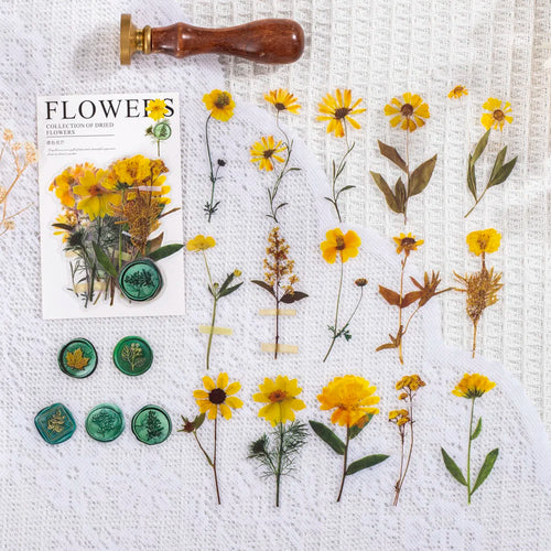 40 pcs/pack Vintage Dried flower Leaf specimen Stickers aesthetic