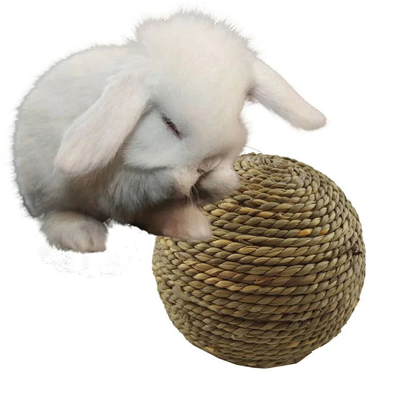 6/10cm Chewing Braided Ball Guinea Pig Rabbit Hamster Small Animal