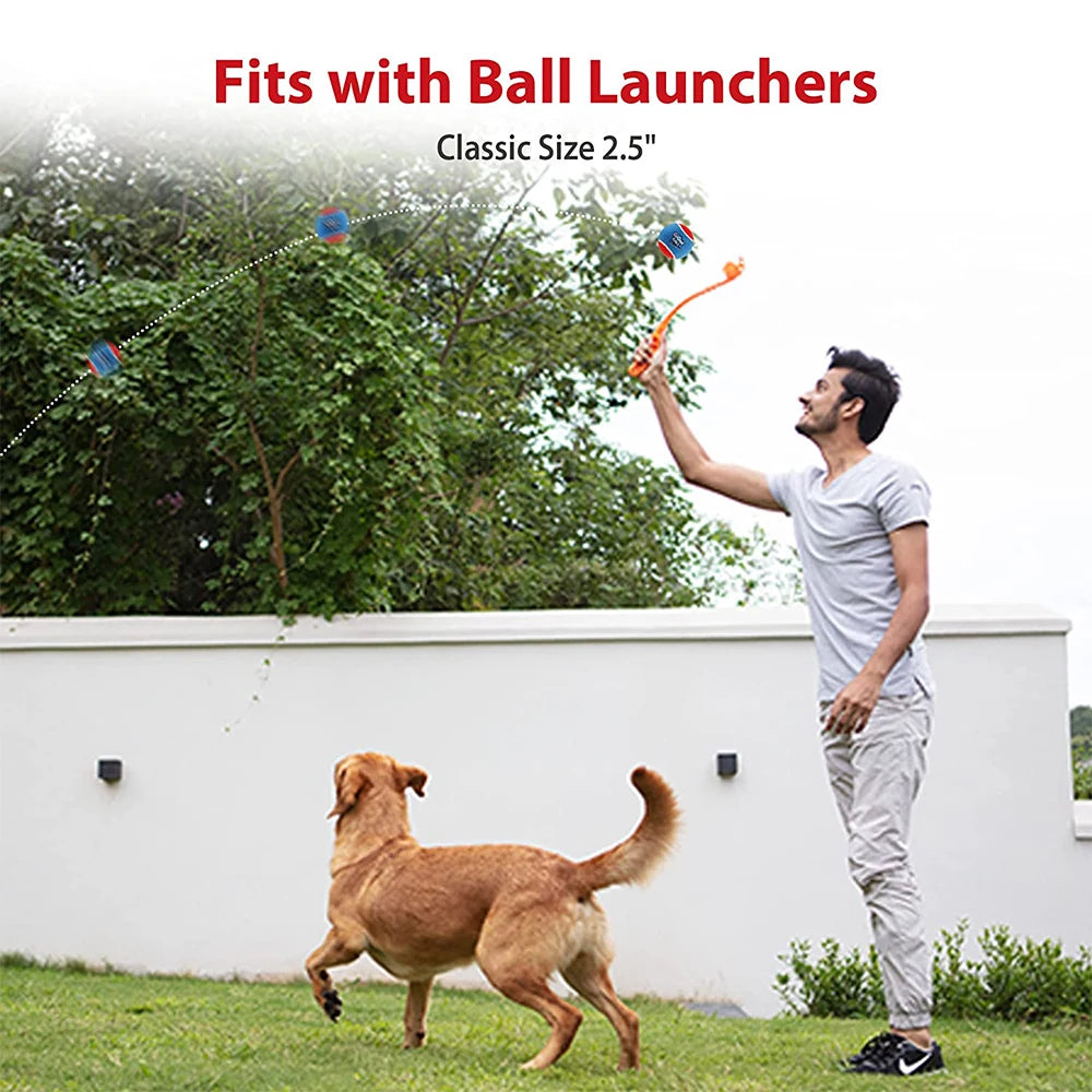 Pet Dog Squeaky Tennis Ball Interactive Dog Toys High Bounce Sound