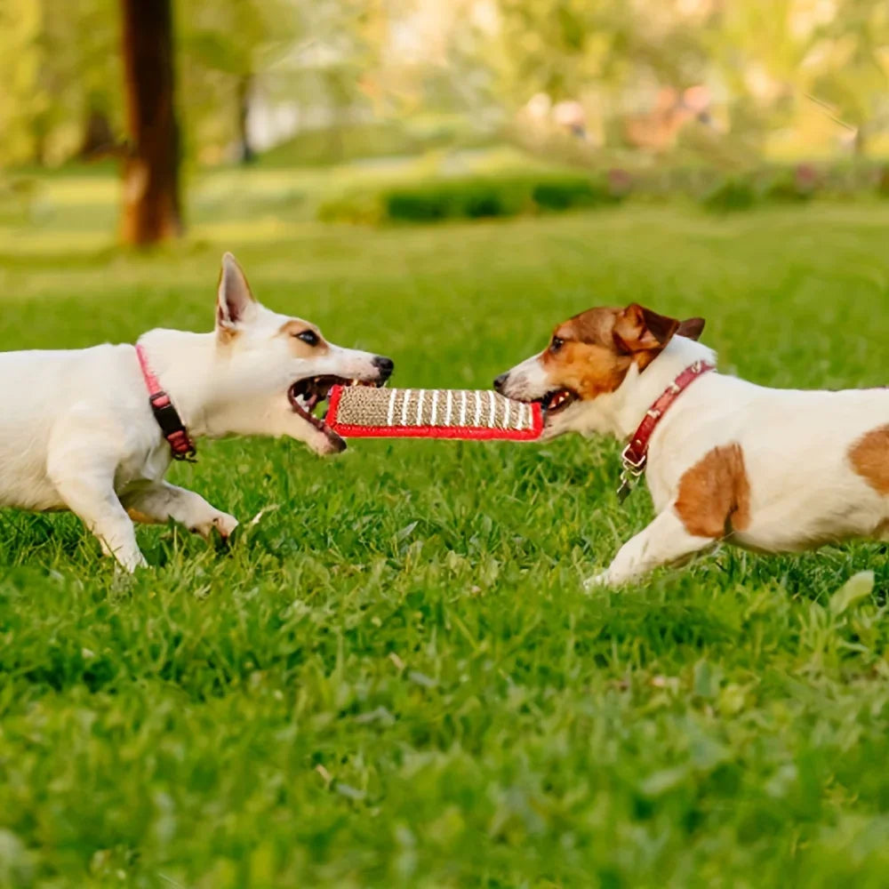 1pc Durable Jute Dog Chew Toy - Bite-Resistant Teething Stick for