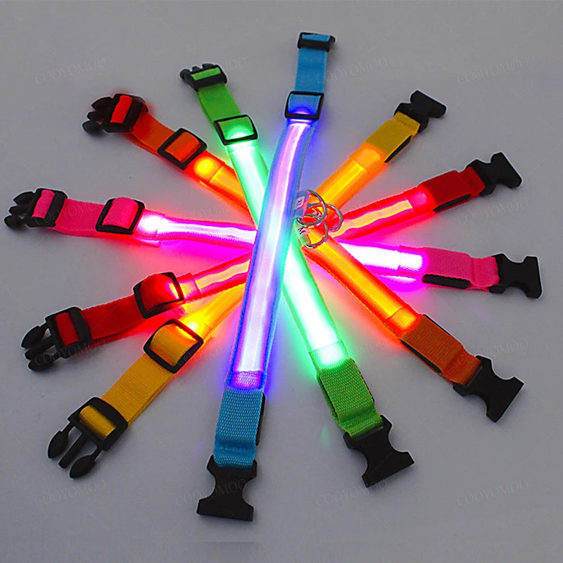 3 Modes Dog Luminous Charge Collar Led Usb Cat Dogs Collars Detachable