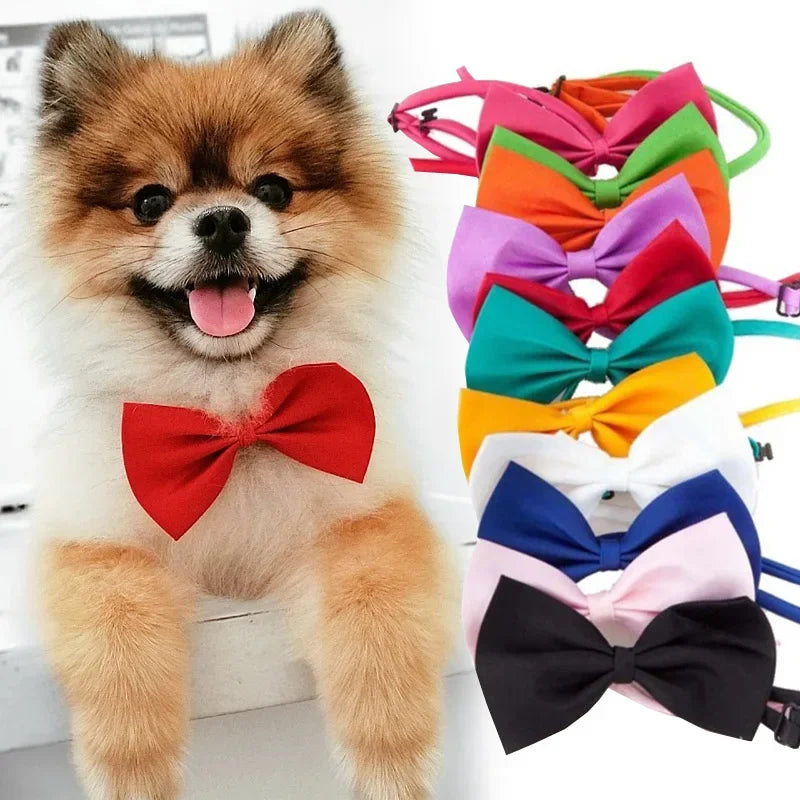Pet Dog Cat Necklace Adjustable Strap for Cat Collar Dogs Accessories
