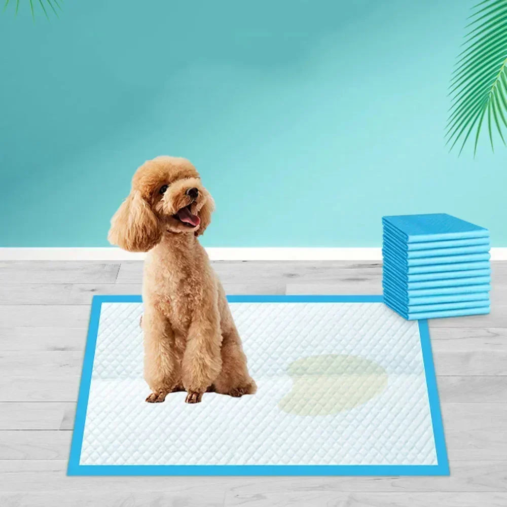 20/40/50/100-Pack Ultra Absorbent Pet Diaper Pads for Dogs &Cats
