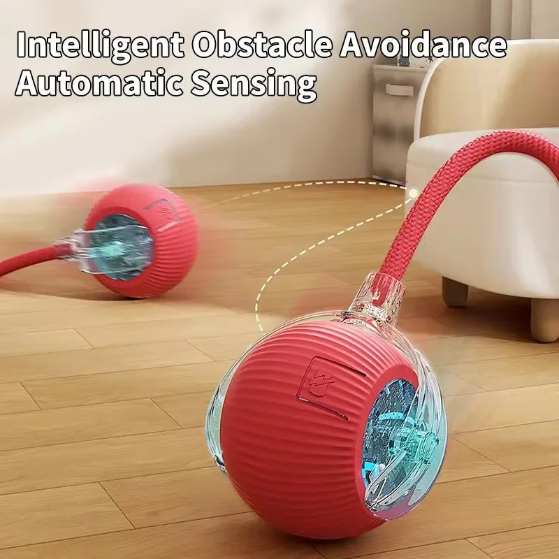 Hot Electric Dog Ball Toys Automatic Rolling Ball Rechargeable Smart