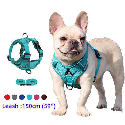 Harness and Leash Set Pet Accessories Dog Harness For Small Dog French