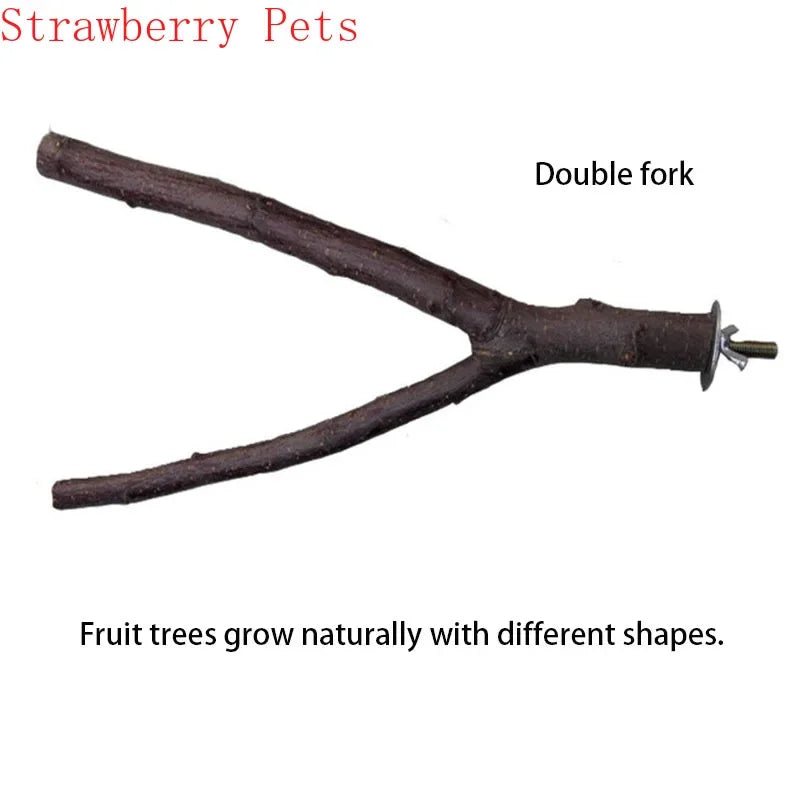 Natural Wood Pet Parrot Raw Wood Fork Tree Branch Stand Rack Squirrel