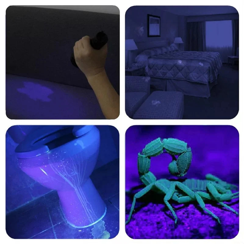 21 LED UV Ultraviolet Flashlight Blacklight 395NM Mini Torch Flash
