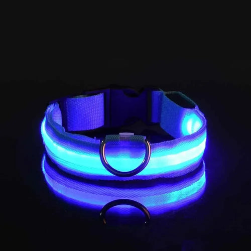 Light Up LED Pet Dog Collar Safety Night Walking Flashing Glow In The