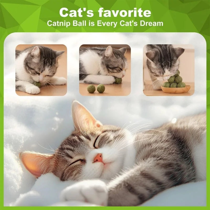 5/10/20Pcs Natural Catnip Balls Kitten Cat Nip Ball Licker Toy for