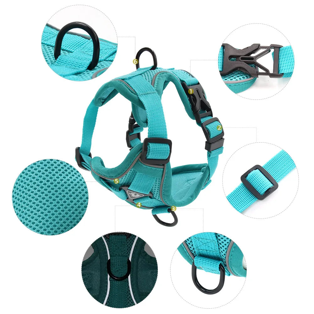 Harness and Leash Set Pet Accessories Dog Harness For Small Dog French
