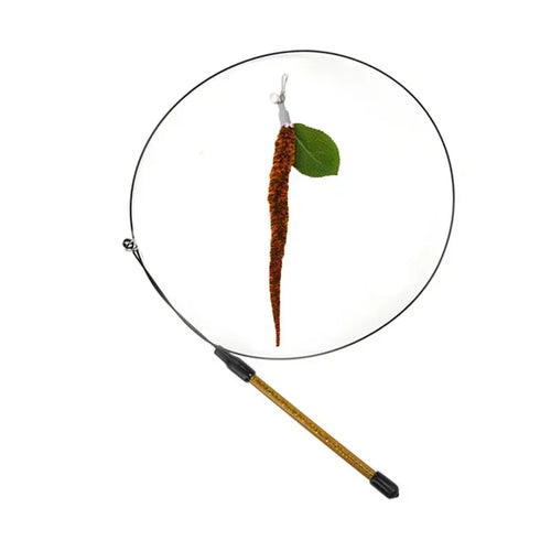 Simulation Bird Cat Toys Funny Interactive Peacock with Bell Cat Stick