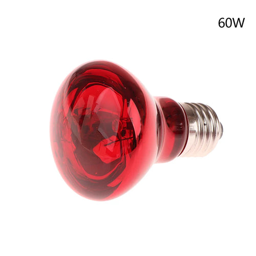 25/40/50/60/75/100W E27 UVA Poultry Bulb Infrared Night Light Day