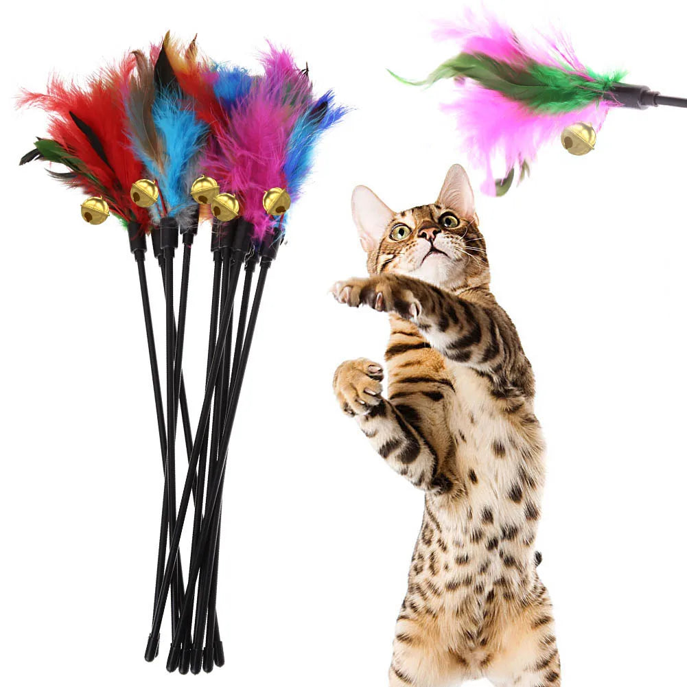 5pcs/set Cat Interactive Wand Colorful Feather Chicken Feather Cat