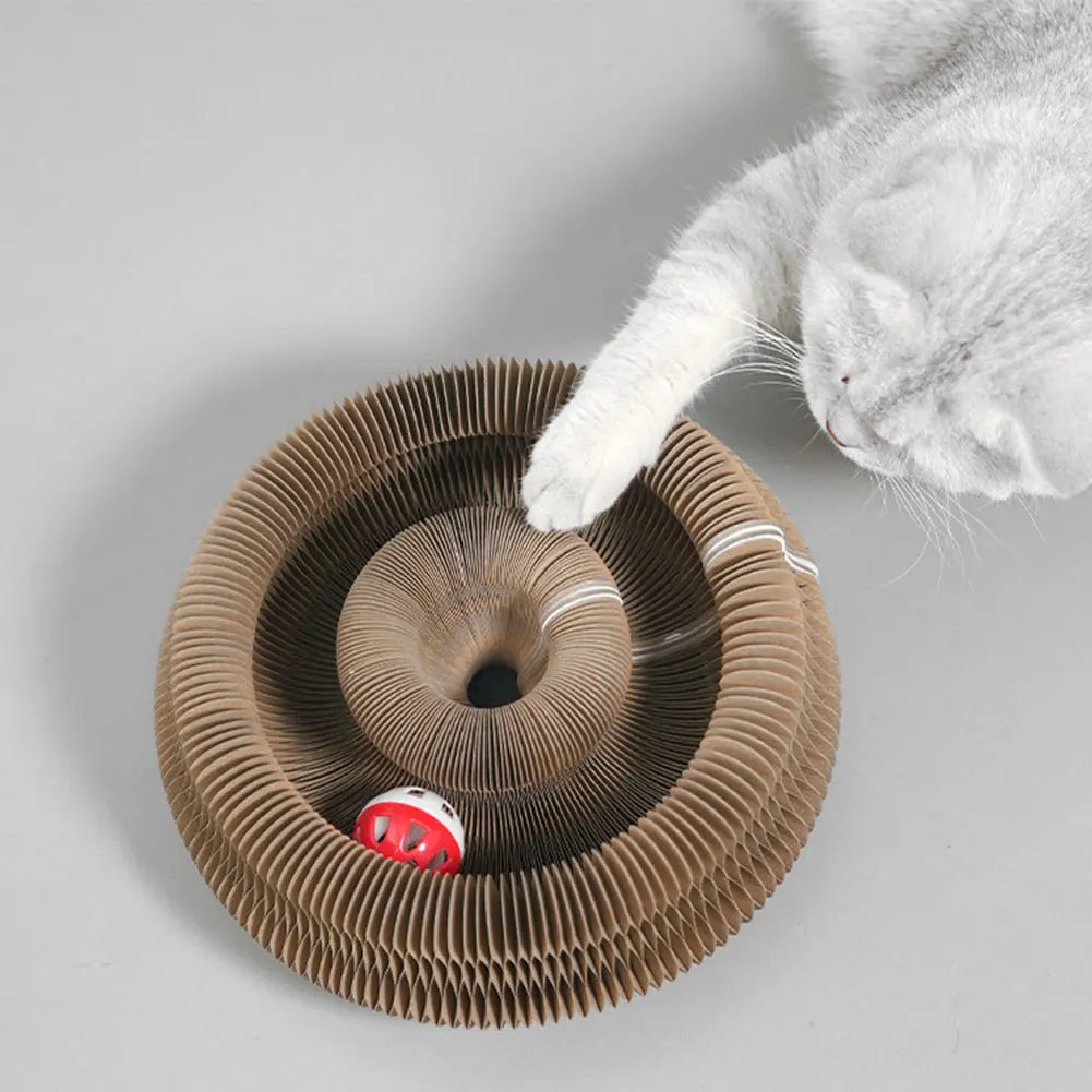 Magic Organ Cat Scratching Board Interactive Scratcher Cat Toy Cat