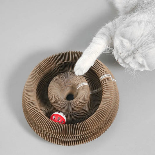 Magic Organ Cat Scratching Board Interactive Scratcher Cat Toy Cat