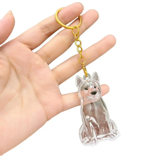 Transparent Cute Dog Hair Storage Keychain Pet Fur Keepsake Capsule