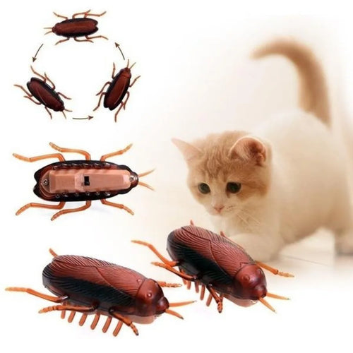 Funny Simulation of Cockroaches Pet Cat Dog Kitten Interactive