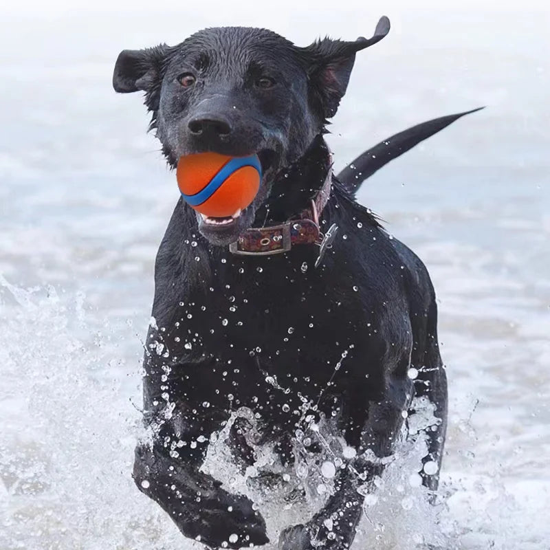 Tough Dog Toy Ball Chew Proof Elastic Jumping Fetch Ball for Large