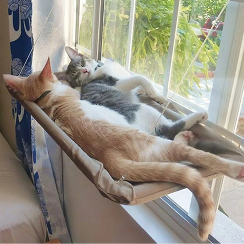 Pet Cat Hammock Aerial Hanging Cat Bed Cats Bed House Kitten Climbing