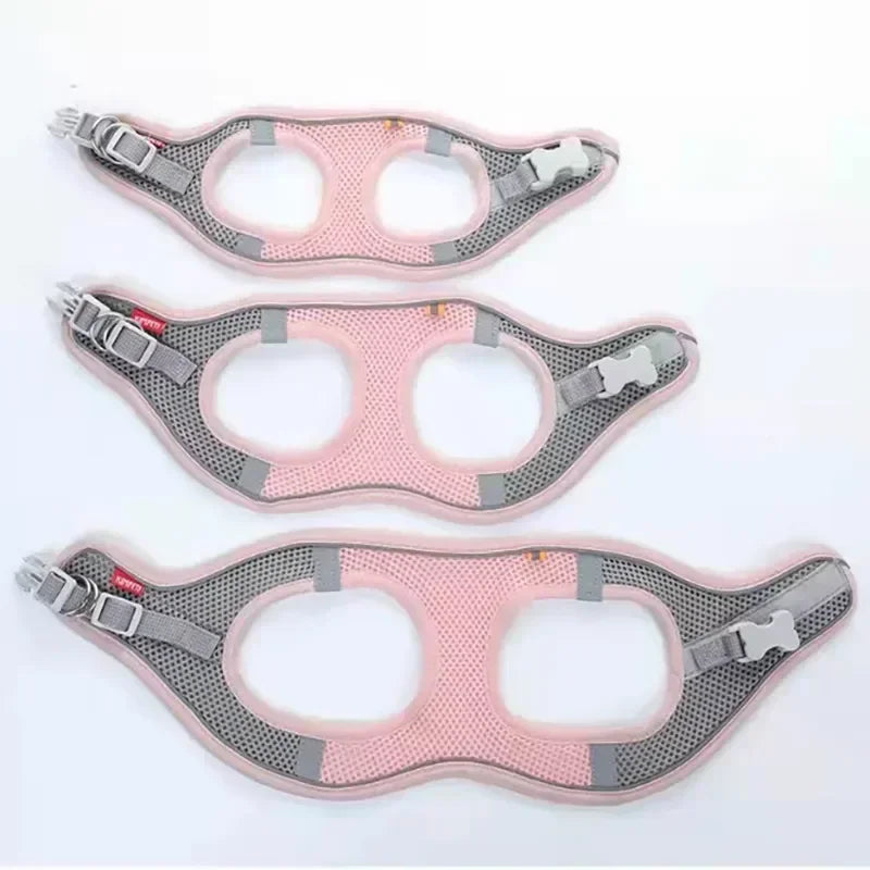 Cats Dog Accessories Small Dog Collar Safety Vest Pet Chest Rope Dogs