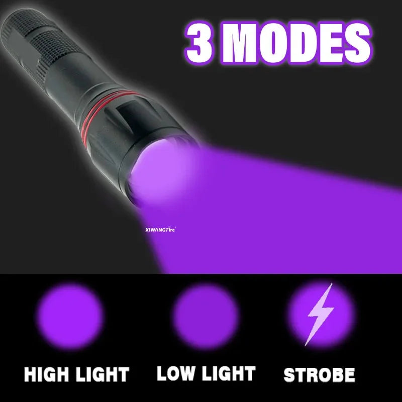 395nm LED UV Flashlight Rechargeable Zoomable Torch Light for Pet