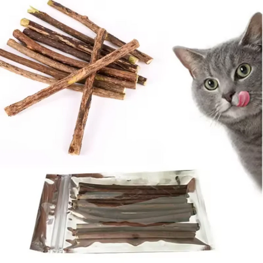 Silvervine Sticks for Cats - Natural Teeth Cleaning Chew Toys, Kitten
