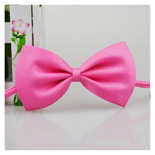 Pet Dog Cat Necklace Adjustable Strap for Cat Collar Dogs Accessories