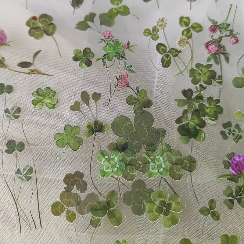 JIANQI 6pcs/pack Transparent PET Stickers Scrapbooking Materials DIY
