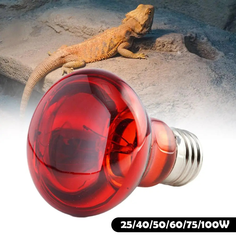 Pet Heating Lamp UVA Day Night Amphibian Amphibian Snake Lamp Heat