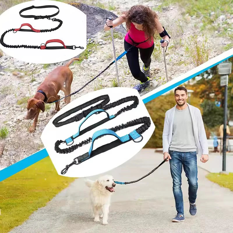 Outdoor Pet Dual Elastic Traction Rope Reflective Running at Night