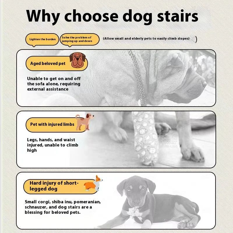 Ladder Dogs Pets Bone Shape Puppy Stairs Beside The Sofa Bed Ramp for