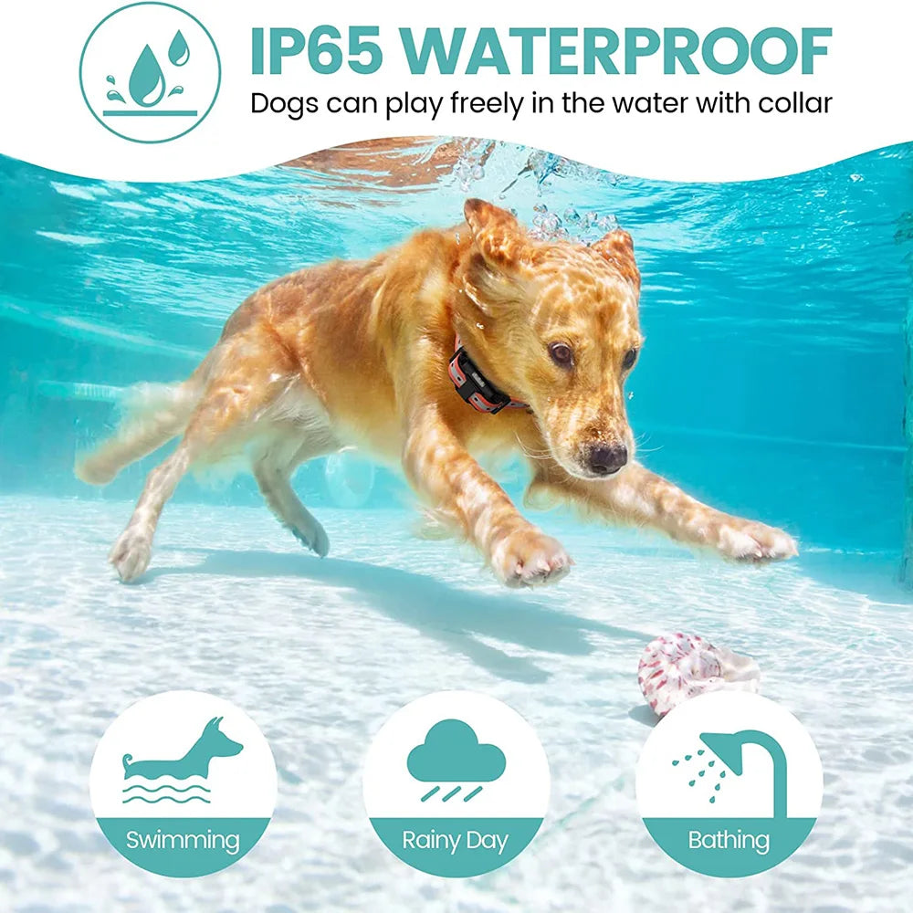 800m Digital Dog Training Collar Waterproof Rechargeable Remote