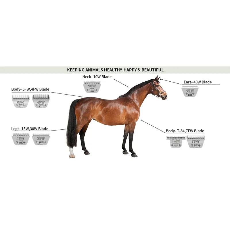 Detachable Animal wide Blade Compatible With Most Andis/Oster