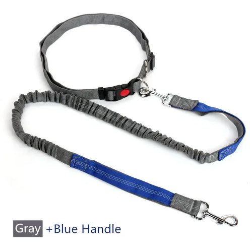 Retractable Dog Leash with Adjustable Waist Rope Hand Free Running