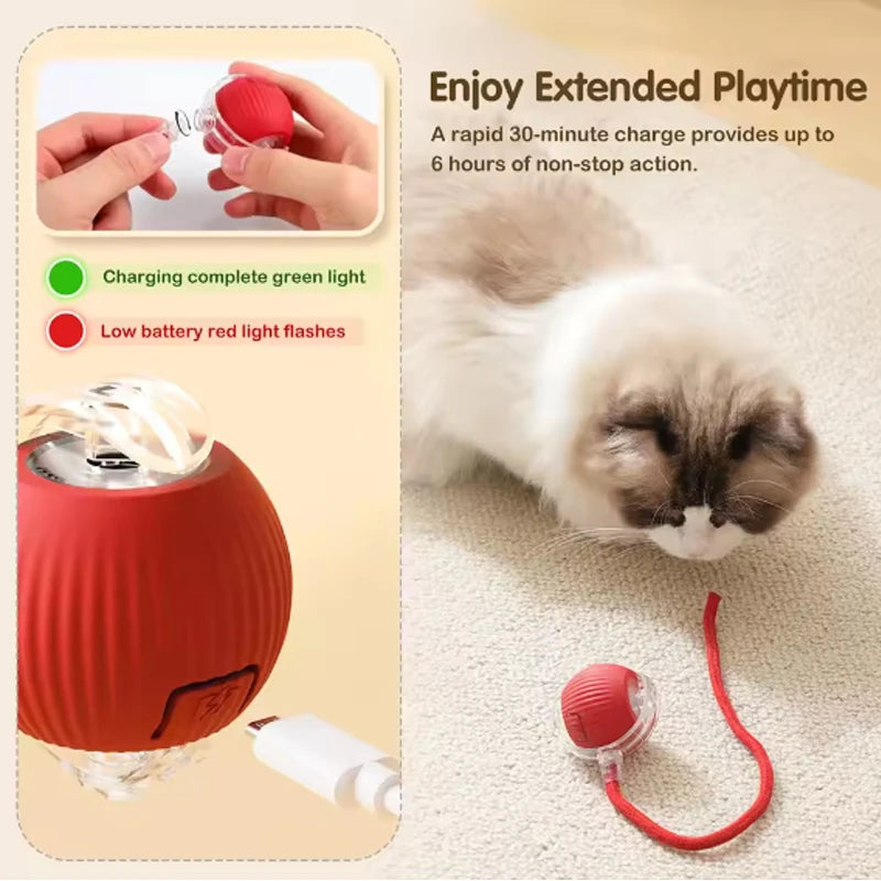 Cat toys cat smart cat balls to help relieve boredom kitten avoid toys