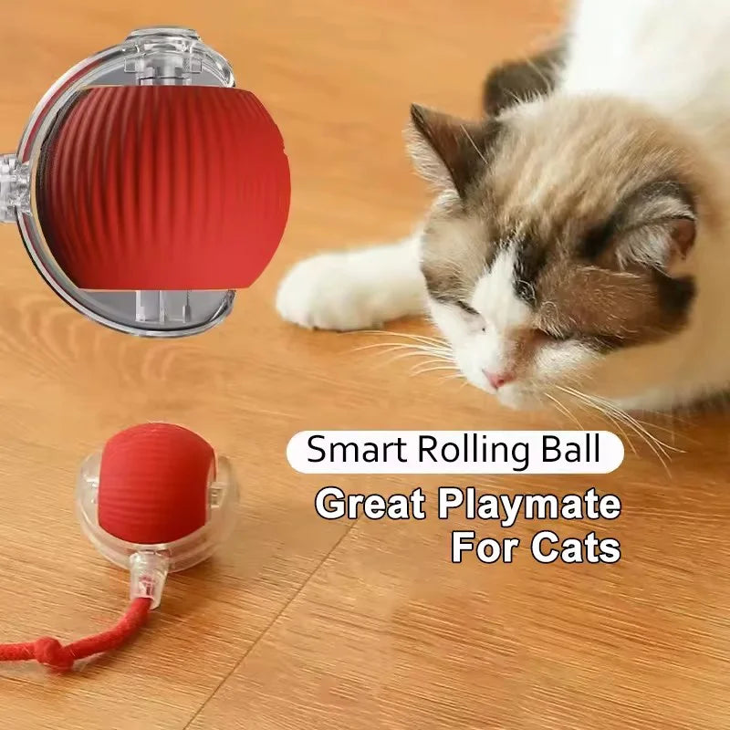 Hot Electric Dog Ball Toys Automatic Rolling Ball Rechargeable Smart