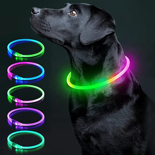 Luminous Dog Collar Light Charge Cat Necklace, Led Fashion Flashing
