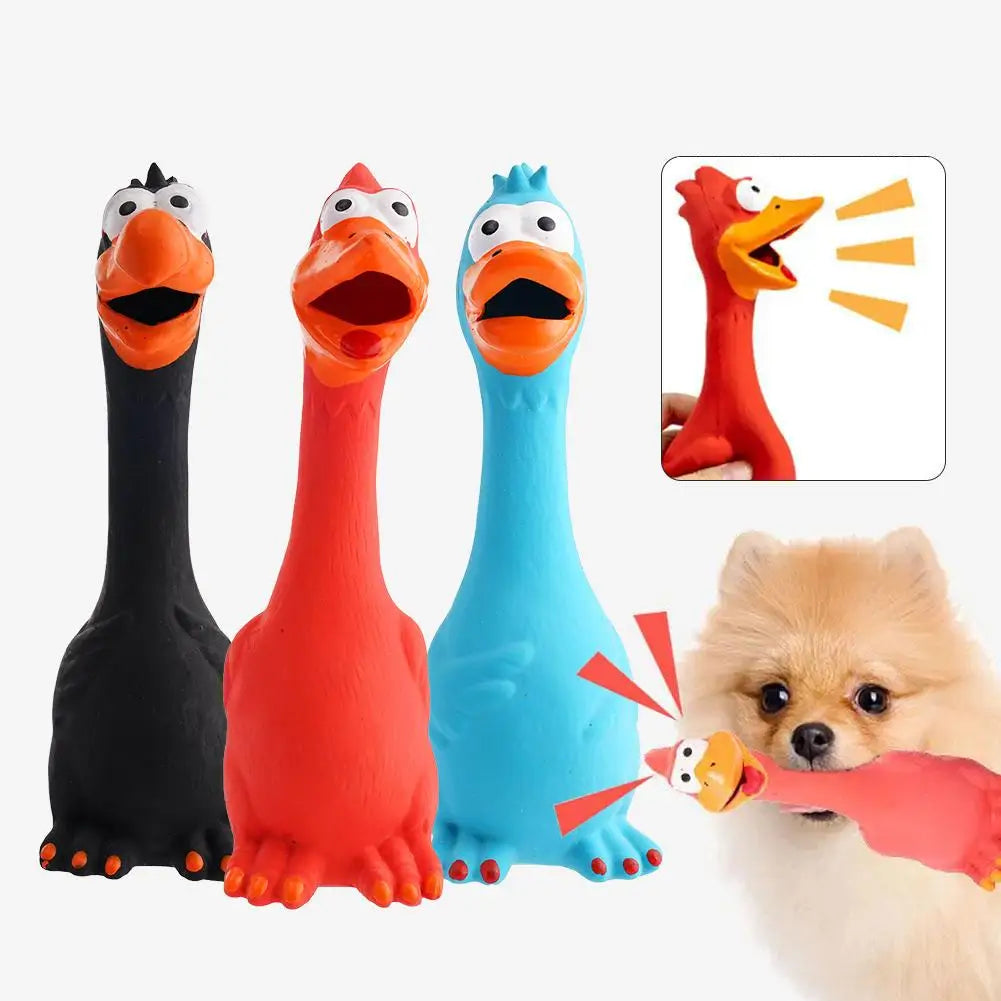 New Squeak Dog Toy Chew Bone Squeaky Ball Chicken Sound Dog Toys Tooth