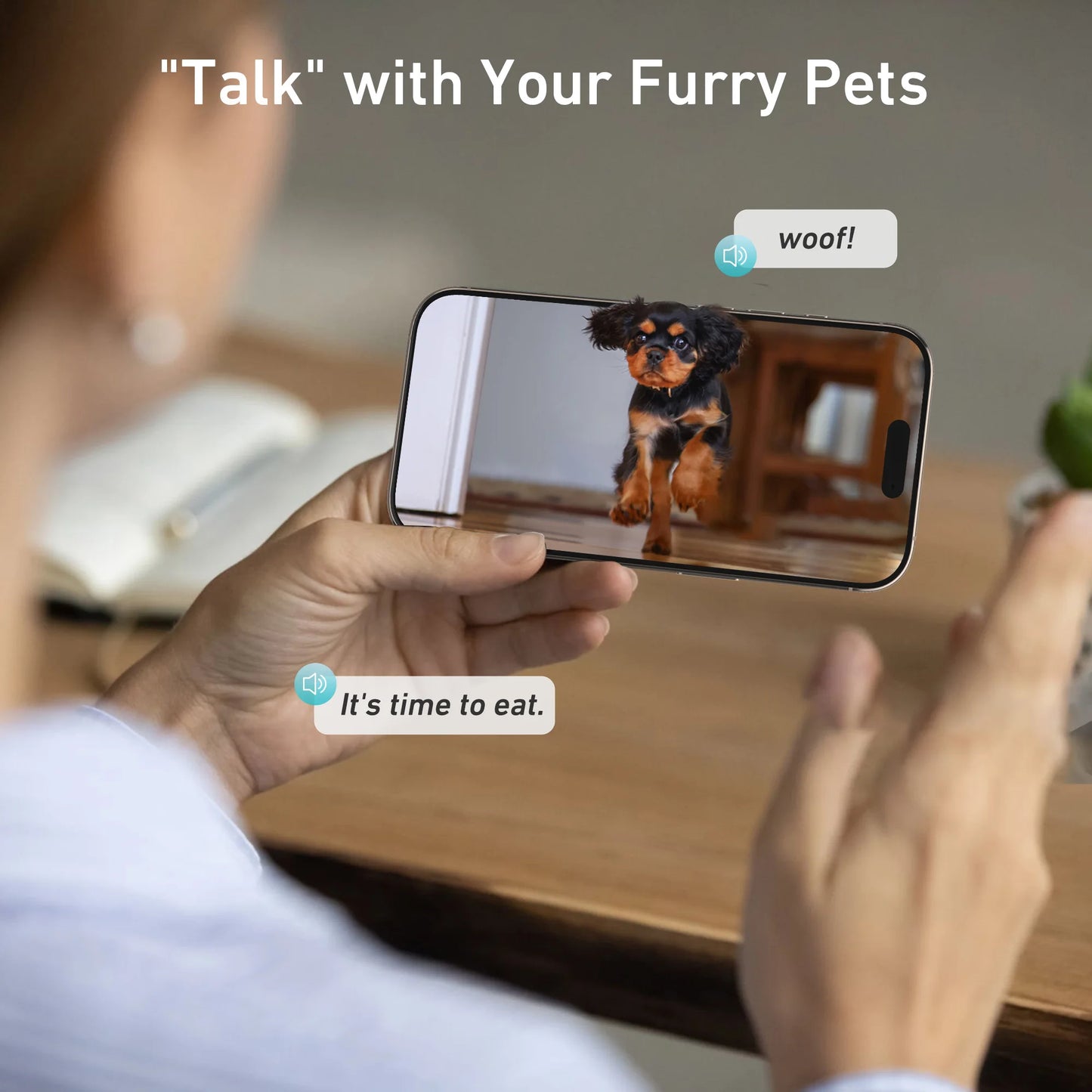 8L Automatic Cat Feeder With 1080p Camera Video 5G WiFi Cat Food