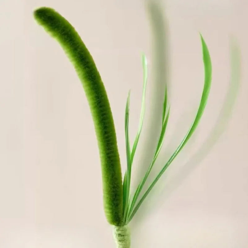 Cat Interactive Toy Cat Dog Tail Grass Dog Sage Feather Long Pole Cat