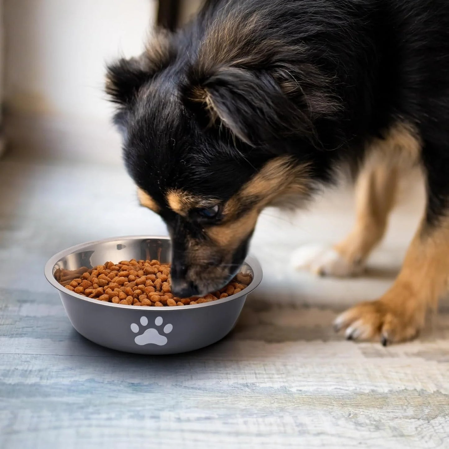 Dog Bowls Stainless Steel Dogs Feeding Bowls With Non-Slip Silicone