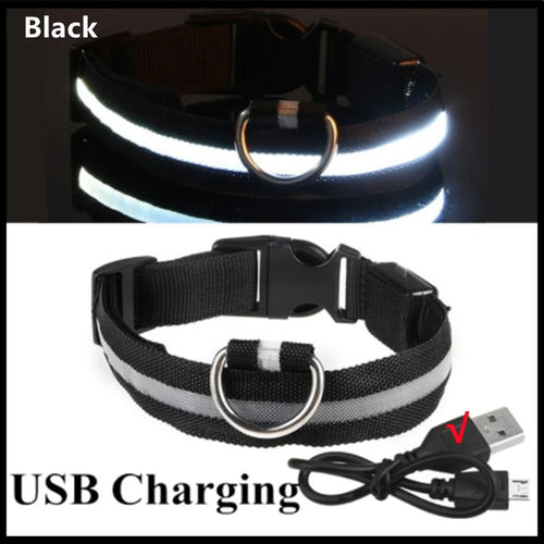 3 Modes Dog Luminous Charge Collar Led Usb Cat Dogs Collars Detachable