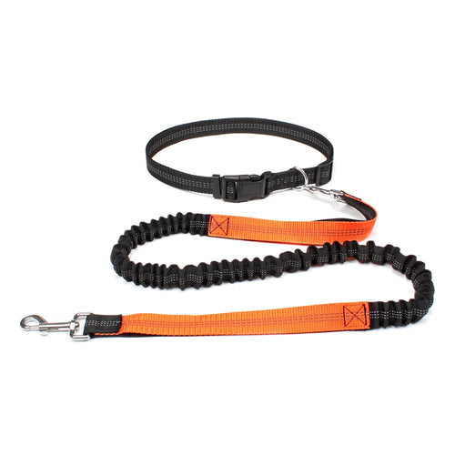 Hand Free Dog Leash for Pet Walking Running Jogging Adjustable Dog