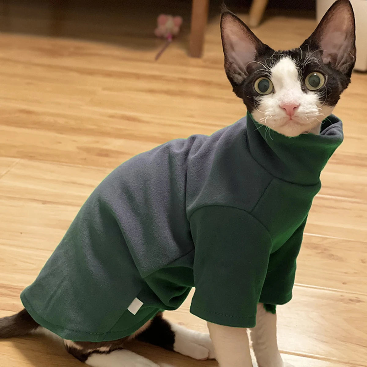 Sphynx Cat Clothes Baby Soft Cotton Fall Winter Kitten Small Dog